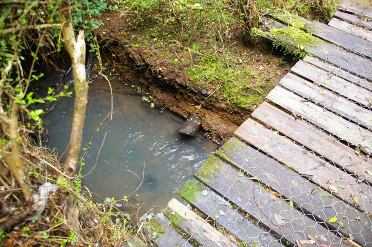 soil erosion from land clearing